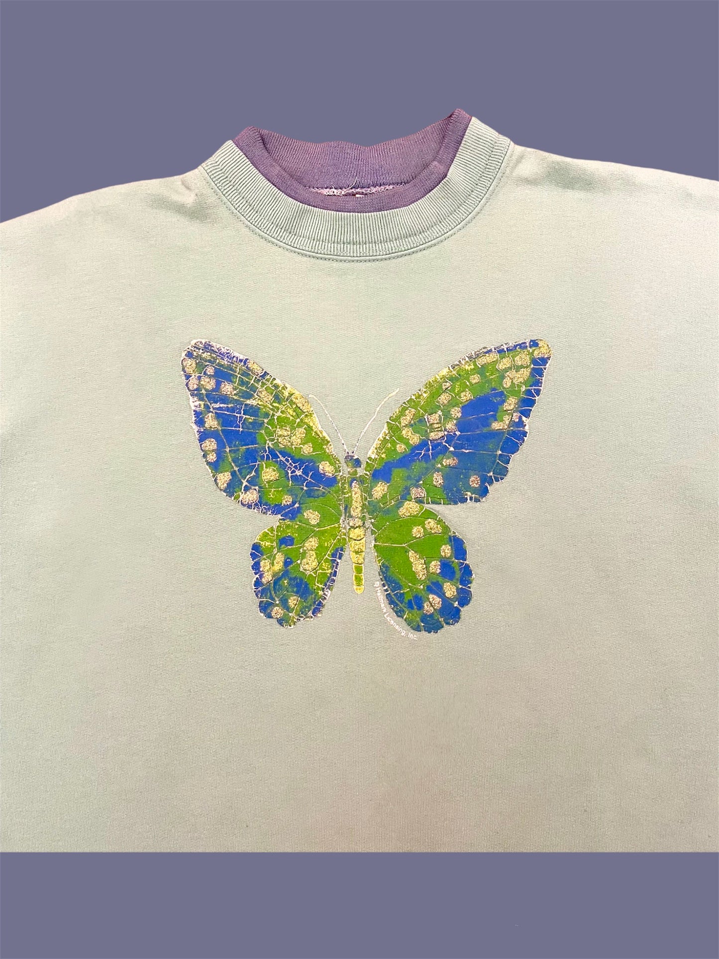 90s Butterfly Earth Pullover